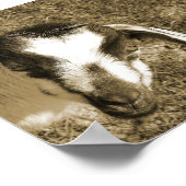 Thumblina de Goat Poster (Hoek)