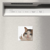 Thumbs Up Ok Cat Meme Magnet (In Situ (Lave-vaisselle))