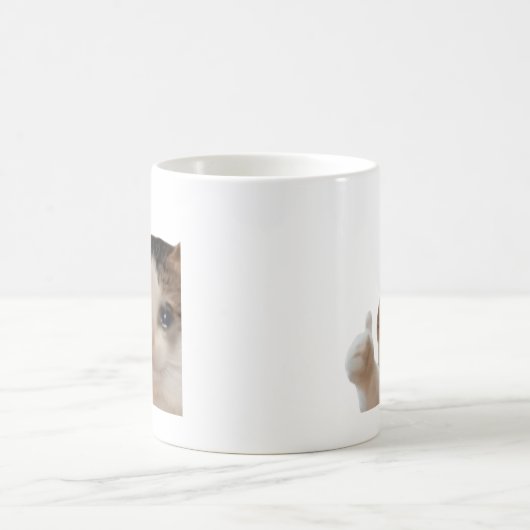 Thumbs Up Ok Cat Meme Mug Double Sided (Centre)