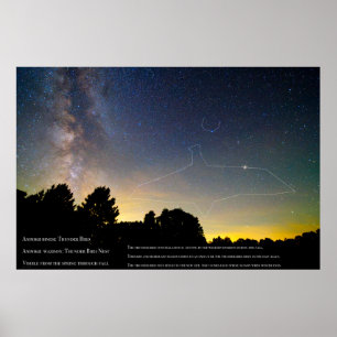 Thunderbird Constellation Ojibwe Poster