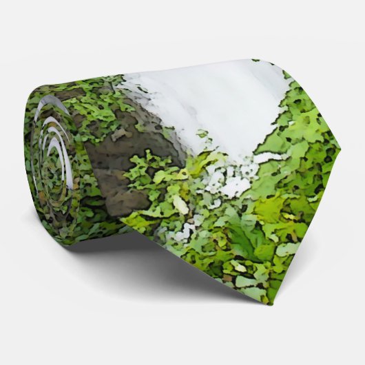 Thunderbird Falls Cravate (Roulé)