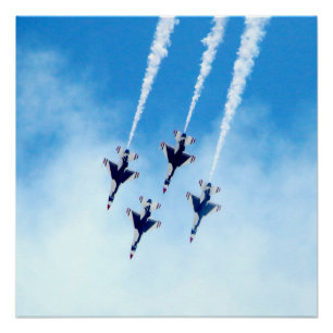 Thunderbird in Flight Photo Poster Perfect Poster
