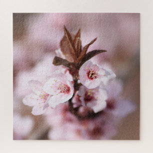 Thundercloud Plum Blossinglente Spring Flowers Legpuzzel