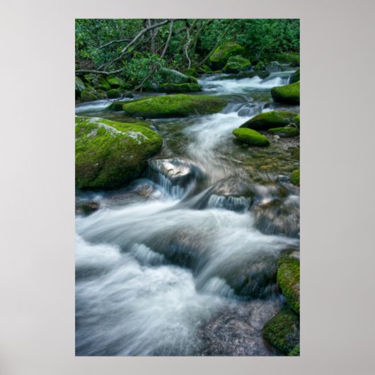 Thunderhead Prong 16 Poster (Voorkant)