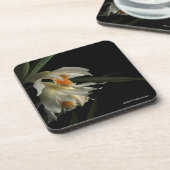 Thunia Marshalliana Bier Onderzetter (Linkerzijde)