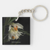 Thunia Marshalliana Sleutelhanger (Achterkant)