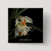 Thunia Marshalliana Vierkante Button 5,1 Cm (Voorkant)