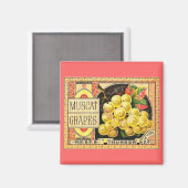 Thurber Muscat druiven - krat label Magneet (Voorkant / Achterkant)