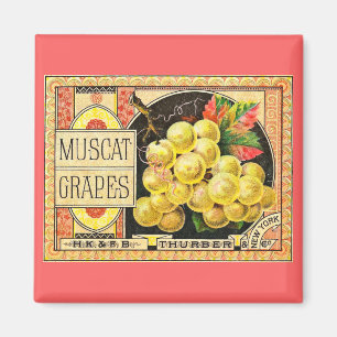 Thurber Muscat Grapes - krateletiket Magneet