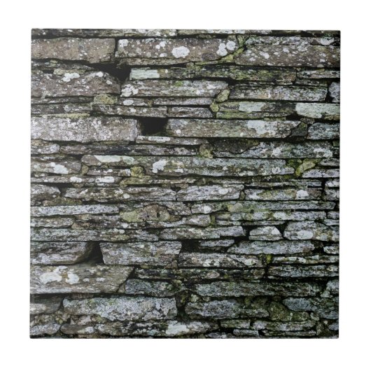 Thurso Slate Wall Tegeltje (Voorkant)