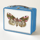 Thyatira batis - de peach Blossom Moth (Voorkant)