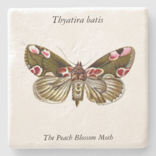 Thyatira batis - de peach Blossom Moth Stenen Onderzetter