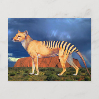 Thylacine (Tasmaanse tijger) Briefkaart