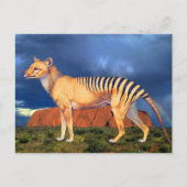 Thylacine (Tasmaanse tijger) Briefkaart (Voorkant)