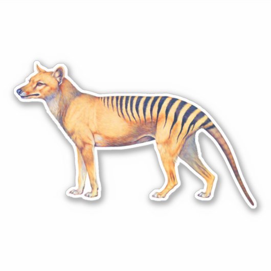 Thylacine (Tasmaanse tijger) Sticker (Voorkant)