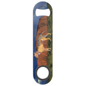 Thylacine (tigre tasmanien) (Dos)