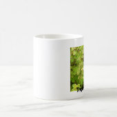Thym pour la tasse de thé (Centre)