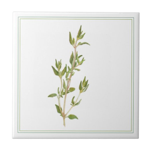 THYME FRAIS 4.25x4.25 Carreaux en céramique (-text (Devant)