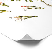 Thyme Herb Botanische illustratie Keukendecor Poster (Hoek)