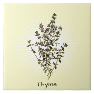  Thyme Herb Botanische Kunstkeramische Tegel Tegeltje