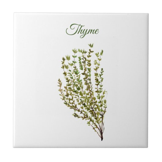 Thyme Herb Greenery Kitchen Culinaire Green Plant  Tegeltje (Voorkant)