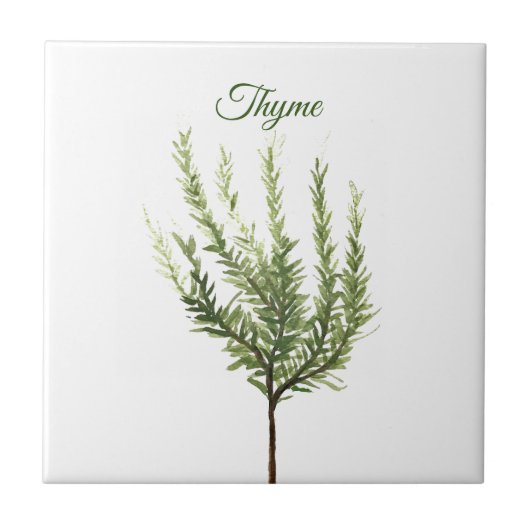Thyme Herb Greenery Kitchen Culinaire Green Plant  Tegeltje (Voorkant)