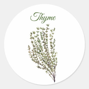 Thyme Herb Greenery Kitchen Culinaire Groen Plant Ronde Sticker