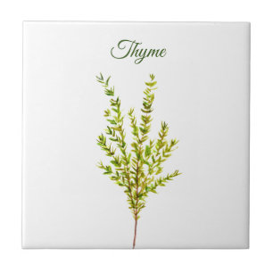 Thyme Herb Greenery Kitchen Culinaire Groen Plant Tegeltje