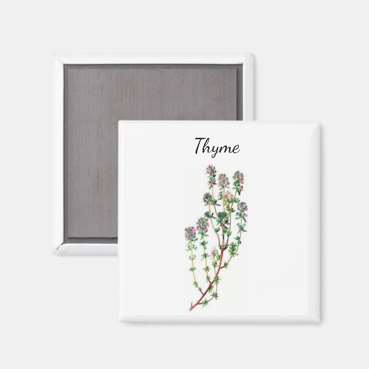Thyme Herb Magnet Magneet (Voorkant / Achterkant)