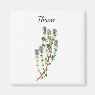 Thyme Herb Magnet Magneet