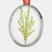 Thyme kruiden Botanische kruiden Metalen Ornament (Links)