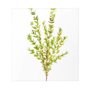 Thyme kruiden Botanische kruiden Notitieblok