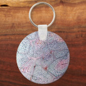 Thymus. Sleutelhanger (Voorkant)