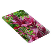 Ti Plante Photo Magnet (Côté Droit)