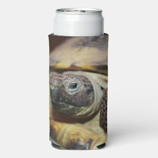 Tibbs (Seltzer Achterkant)