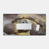 Tibbs (Clavier et souris)