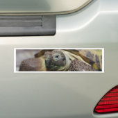 Tibbs Bumpersticker (Op auto)