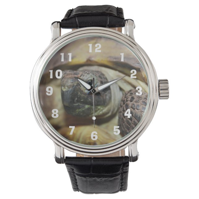 Tibbs Horloge (Voorkant)