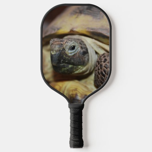 Tibbs Pickleball Paddle (Voorkant)
