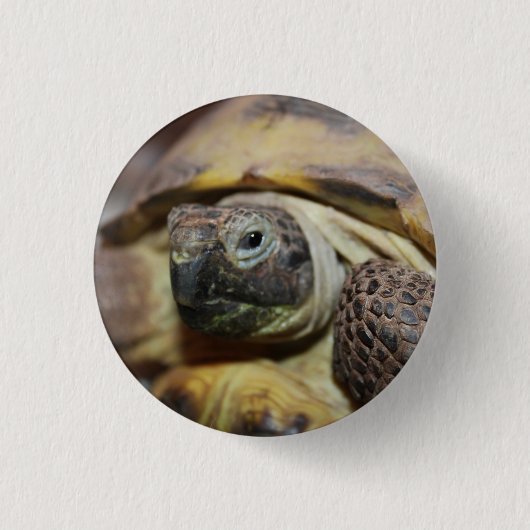 Tibbs Ronde Button 3,2 Cm (Voorkant)