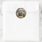 Tibbs Ronde Sticker (Tas)