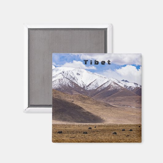 Tibet - Berglandschap met yaks Magneet (Voorkant / Achterkant)