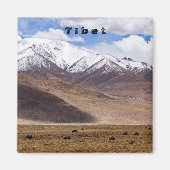 Tibet - Berglandschap met yaks Magneet (Voorkant)