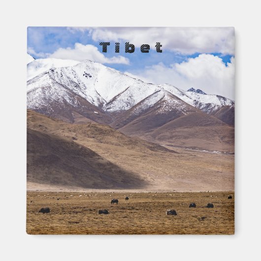 Tibet - Berglandschap met yaks Magneet (Voorkant)