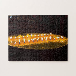 Tibet - Rituele-boterlamp Legpuzzel