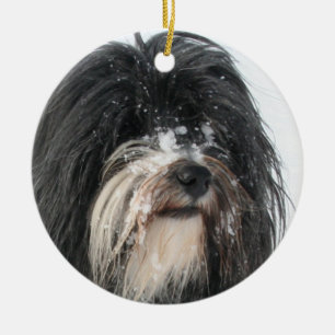 Tibet_Terrier.png Keramisch Ornament
