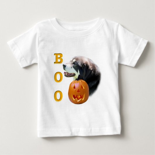 Tibetaans Mastiff Boo (Voorkant)