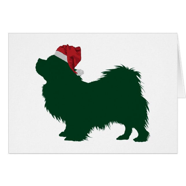 Tibetaans Spaniel (Voorkant Horizontaal)