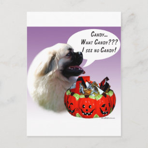 Tibetaans Spaniel Halloween Snoep Briefkaart
