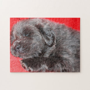 Tibetaanse Mastiff Hond Legpuzzels. Legpuzzel